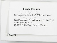 登錄號:F0008201藏品圖，第2張