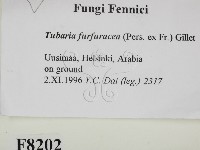 登錄號:F0008202藏品圖，第2張