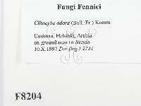 登錄號:F0008204藏品圖，第2張