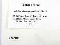 登錄號:F0008206藏品圖，第2張