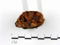 登錄號:F0008206藏品圖，第3張