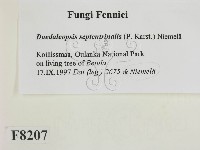 登錄號:F0008207藏品圖，第2張