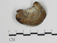 登錄號:F0008207藏品圖，第3張