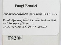 登錄號:F0008208藏品圖，第2張