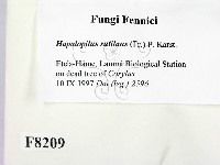 登錄號:F0008209藏品圖，第2張