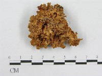 登錄號:F0008210藏品圖，第1張