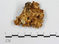 登錄號:F0008210藏品圖，第3張