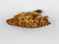 登錄號:F0008210藏品圖，第4張