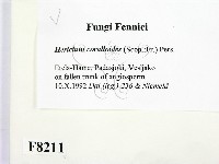 登錄號:F0008211藏品圖，第2張