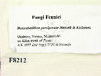 登錄號:F0008212藏品圖，第2張