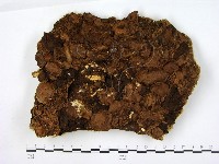 登錄號:F0008212藏品圖，第3張