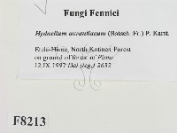 登錄號:F0008213藏品圖，第2張