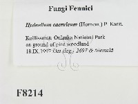 登錄號:F0008214藏品圖，第2張