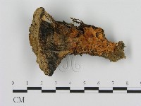 登錄號:F0008214藏品圖，第1張