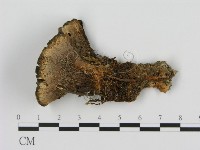 登錄號:F0008214藏品圖，第3張