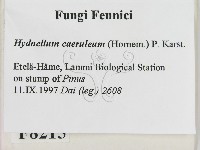 登錄號:F0008215藏品圖，第2張