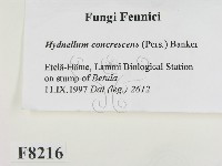 登錄號:F0008216藏品圖，第2張