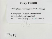 登錄號:F0008217藏品圖，第2張