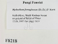 登錄號:F0008218藏品圖，第2張