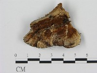 登錄號:F0008218藏品圖，第3張