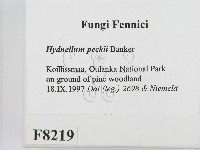 登錄號:F0008219藏品圖，第2張