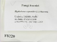 登錄號:F0008220藏品圖，第2張