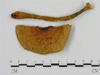 登錄號:F0008220藏品圖，第1張