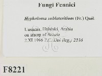 登錄號:F0008221藏品圖，第2張