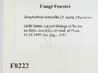 登錄號:F0008222藏品圖，第2張