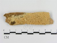 登錄號:F0008222藏品圖，第1張