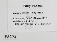 登錄號:F0008224藏品圖，第2張