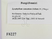 登錄號:F0008227藏品圖，第2張