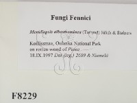 登錄號:F0008229藏品圖，第2張