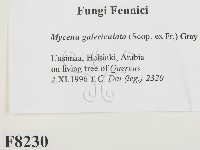 登錄號:F0008230藏品圖，第2張