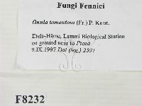 登錄號:F0008232藏品圖，第2張