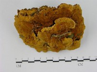 登錄號:F0008232藏品圖，第1張