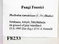 登錄號:F0008233藏品圖，第2張