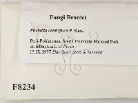 登錄號:F0008234藏品圖，第2張