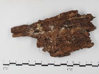 登錄號:F0008234藏品圖，第1張