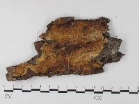 登錄號:F0008234藏品圖，第3張