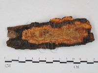 登錄號:F0008235藏品圖，第1張
