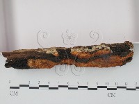 登錄號:F0008235藏品圖，第3張