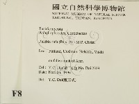 登錄號:F0008236藏品圖，第2張