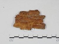 登錄號:F0008236藏品圖，第1張