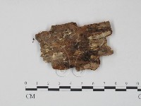 登錄號:F0008236藏品圖，第3張