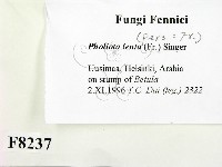 登錄號:F0008237藏品圖，第2張