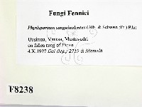 登錄號:F0008238藏品圖，第2張