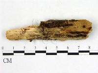 登錄號:F0008238藏品圖，第3張