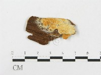 登錄號:F0008241藏品圖，第1張