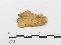 登錄號:F0008241藏品圖，第3張